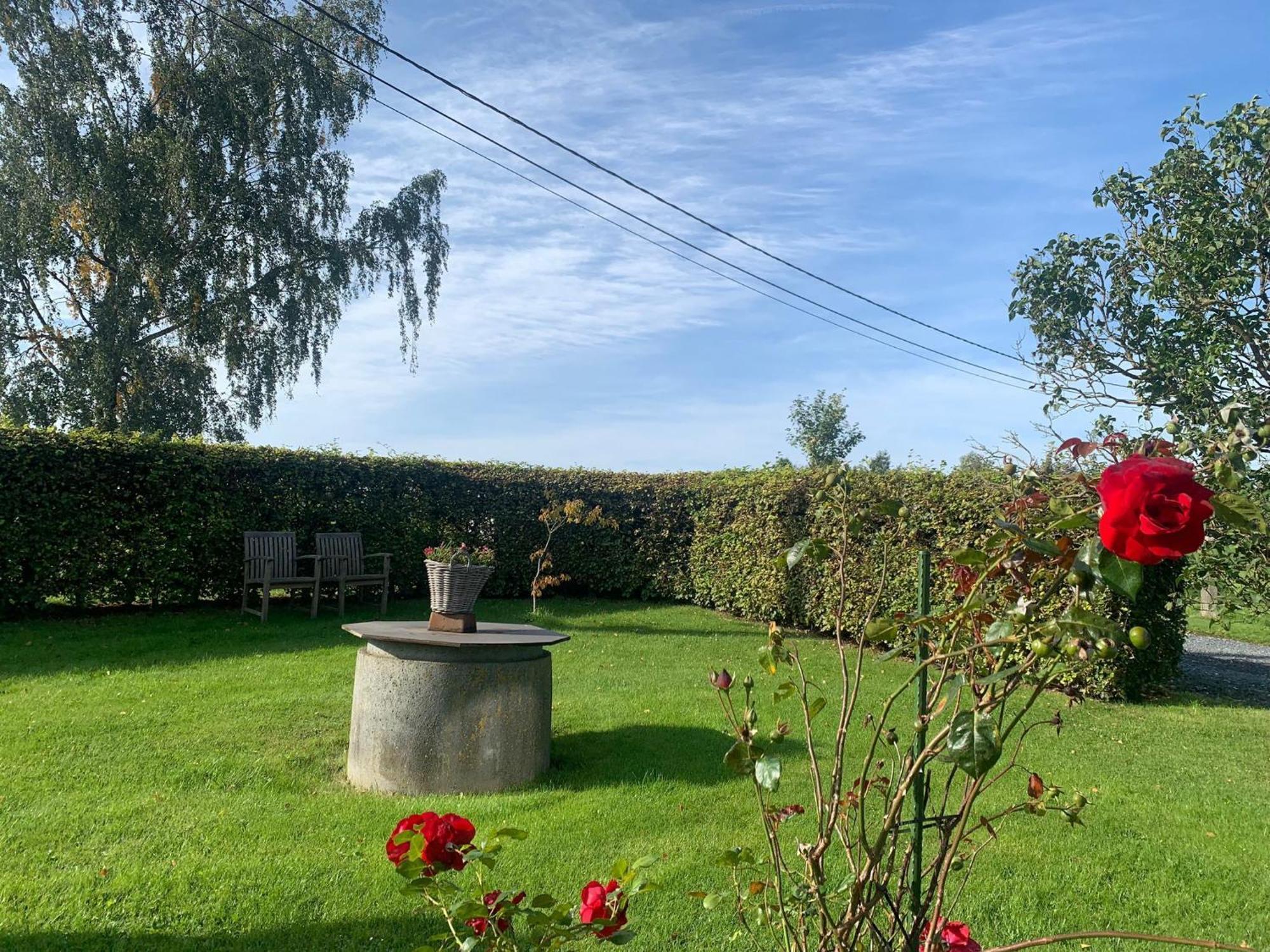 Pretty Farmhouse In Houffalize With Courtyard Ngoại thất bức ảnh