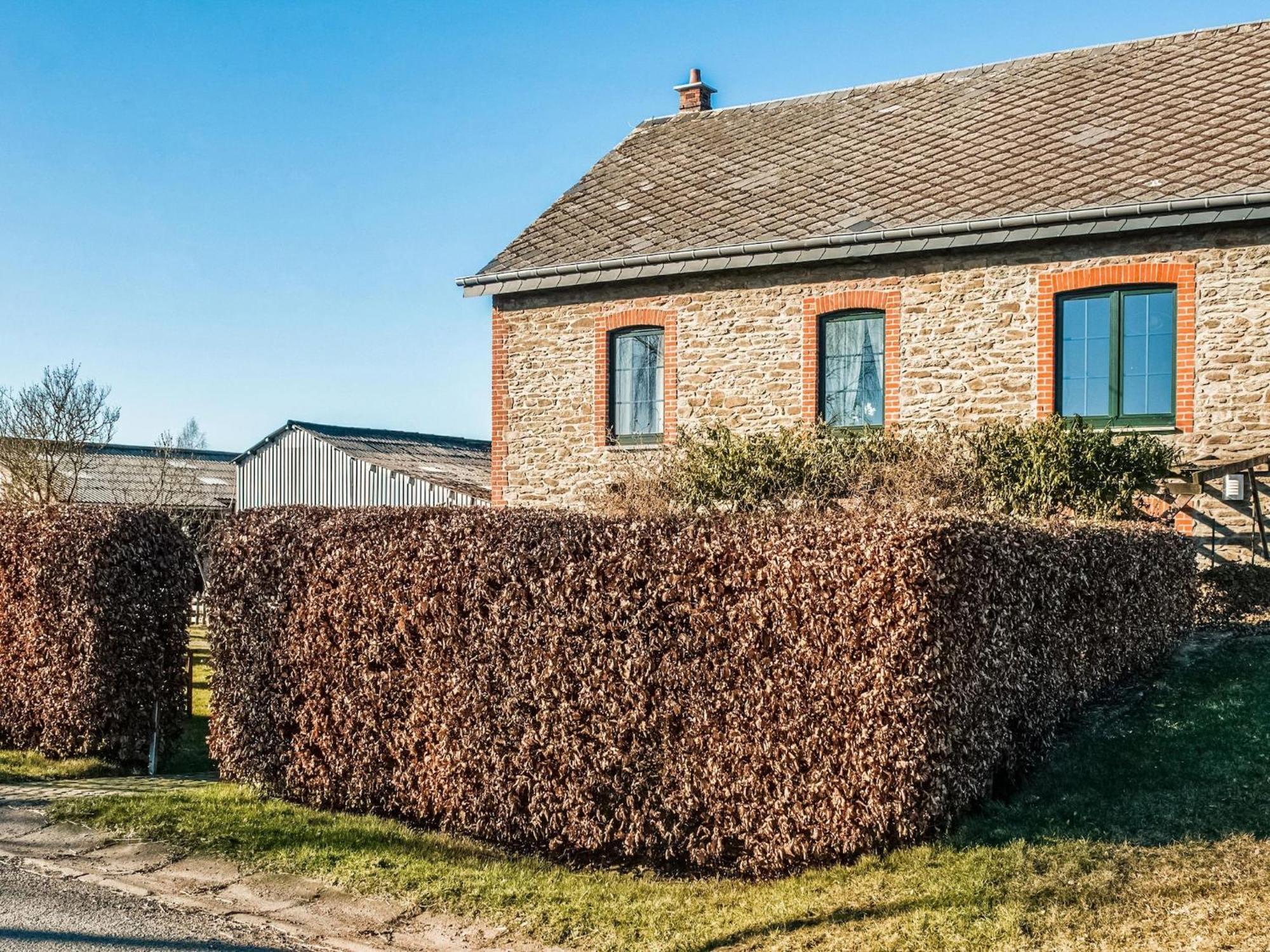 Pretty Farmhouse In Houffalize With Courtyard Ngoại thất bức ảnh